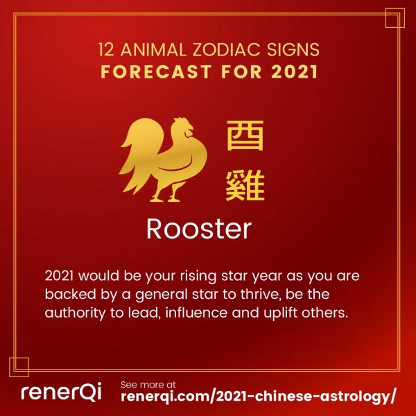 Summary for Rooster Zodiac Sign Forecast in 2021