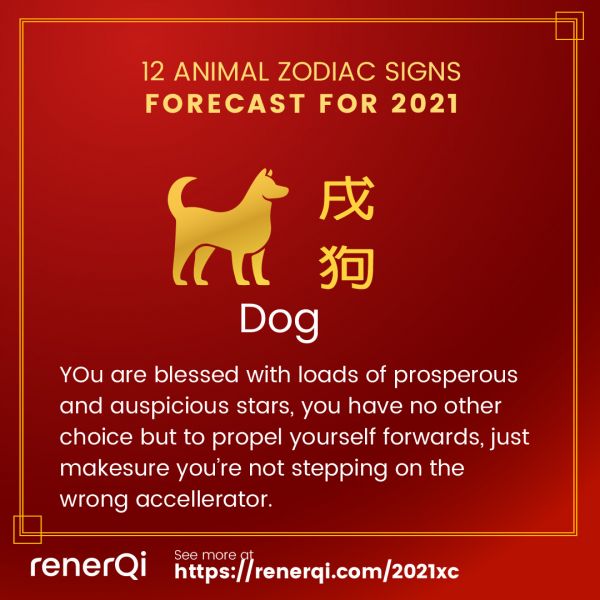 Dog Horoscope in 2021