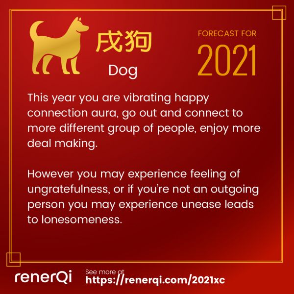 Dog animal prediction 2021