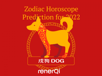 Dog Zodiac Sign in 2022