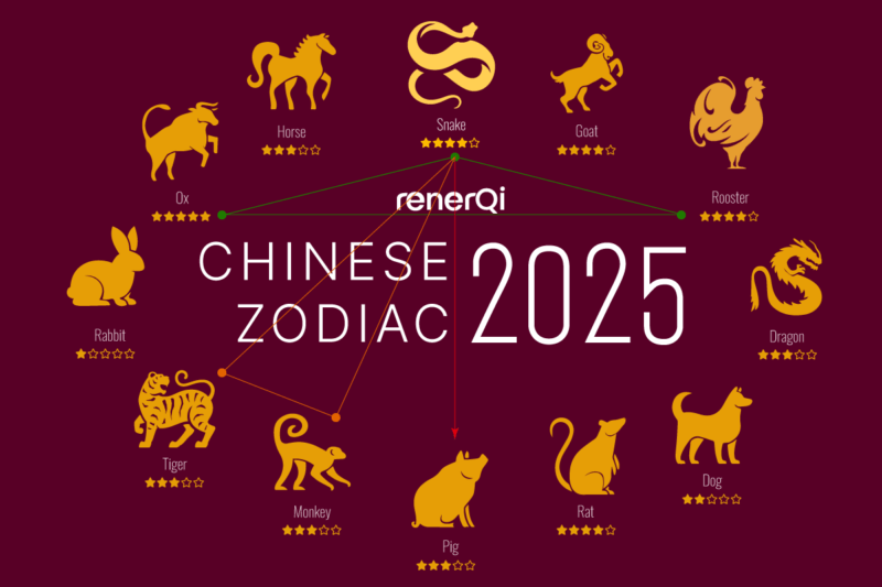 Chinese zodiac 2025