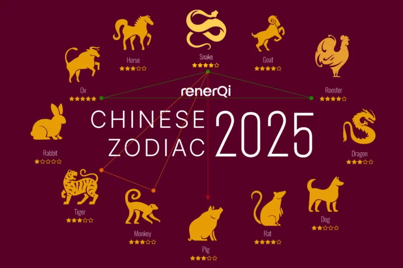 Chinese zodiac 2025