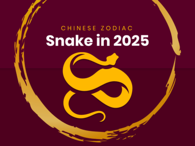 Snake Zodiac in 2025