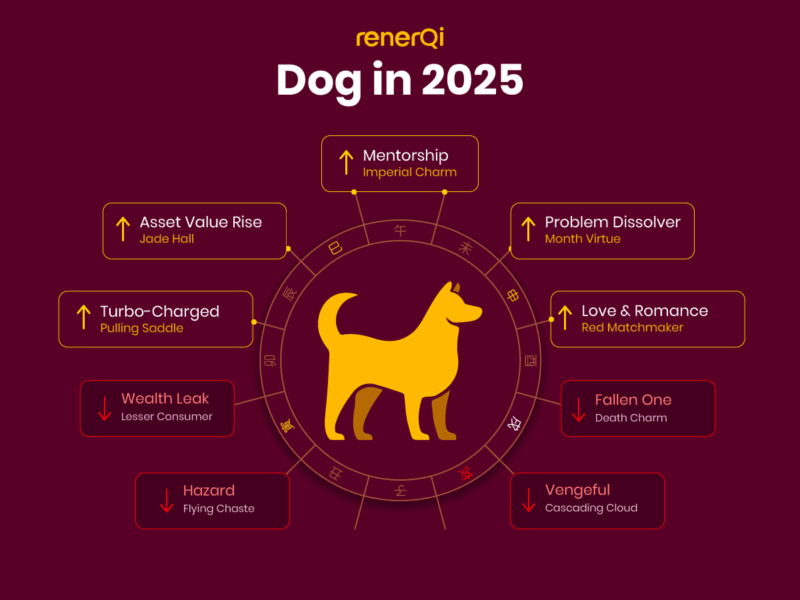 Chinese Dog Zodiac in 2025 blessed with Imperial Charm, Jade Hall, Pulling Saddle, Red Matchmaker, Lesser Consumer, Death Charm, Flying Chaste, Cascading Cloud
