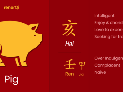 Chinese Pig Zodiac