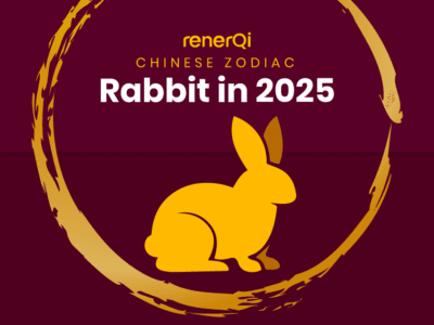 Rabbit Zodiac in 2025