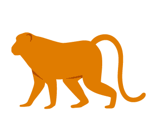 Chinese Monkey Zodiac Prediction in 2026