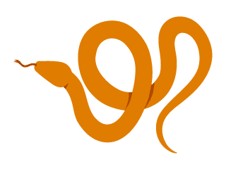 Chinese Snake Zodiac Prediction in 2026