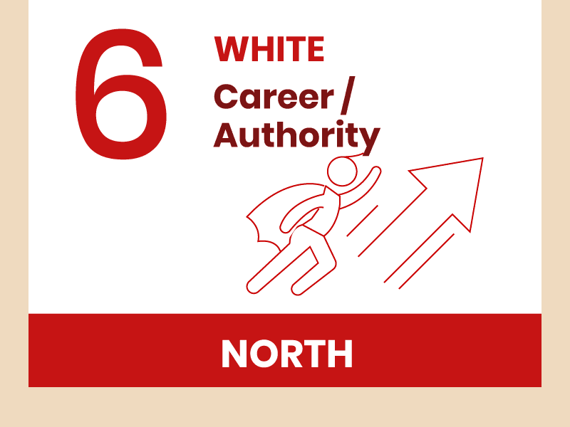 2026 Flying Star 6 in North Palace 2026 Flying Star 6 in North Palace